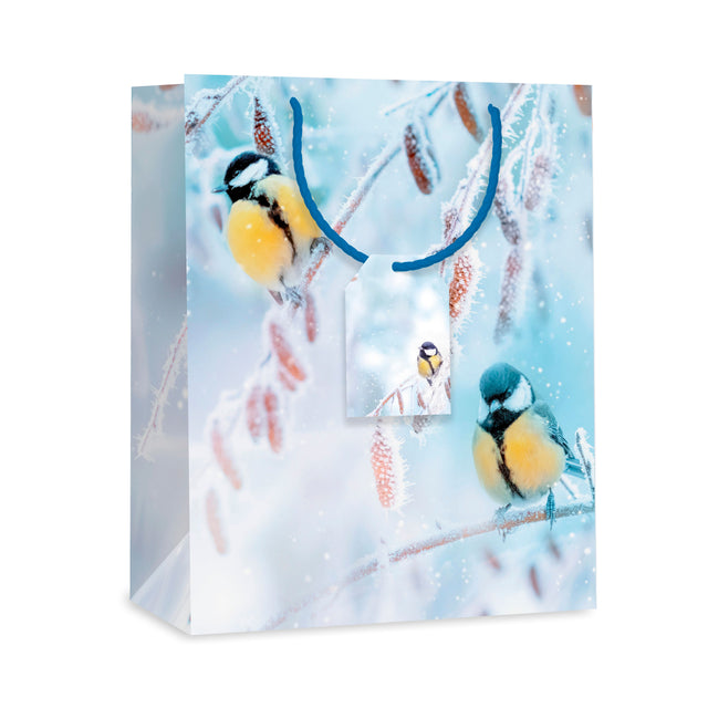 Dárková taška vánoční velká (TL) - PTÁČCI - 33x26,7x13,7cm 225506 TL.jpg#15582#2ca5f31d1485