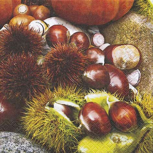 Prémiové papírové ubrousky 33x33 cm (20 ks) 211146_1.jpg