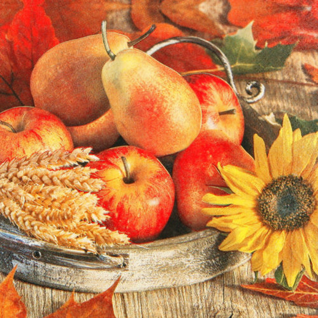 Prémiové papírové ubrousky 33x33 cm (20 ks) 211309_1.jpg#14549#87ae20b3217b