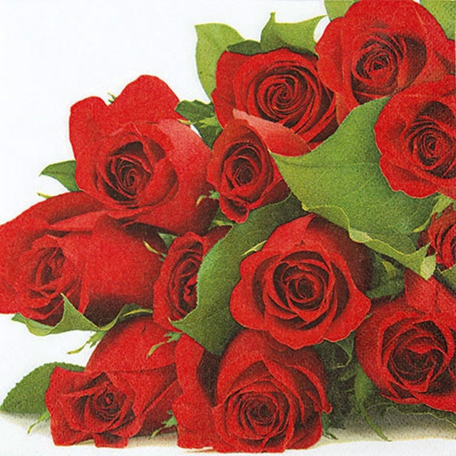 Prémiové papírové ubrousky 33x33 cm (20 ks) 211431_1.jpg#13878#5e2970a91a9e